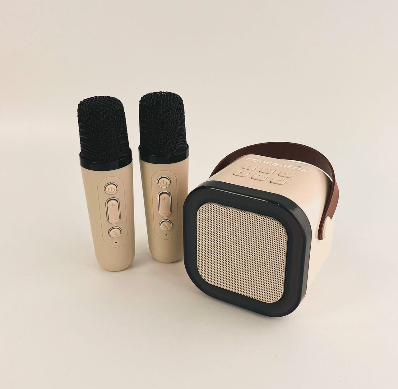 Custom Corporate Set - Concentrix Recognition Day - Gaia Gifts Co