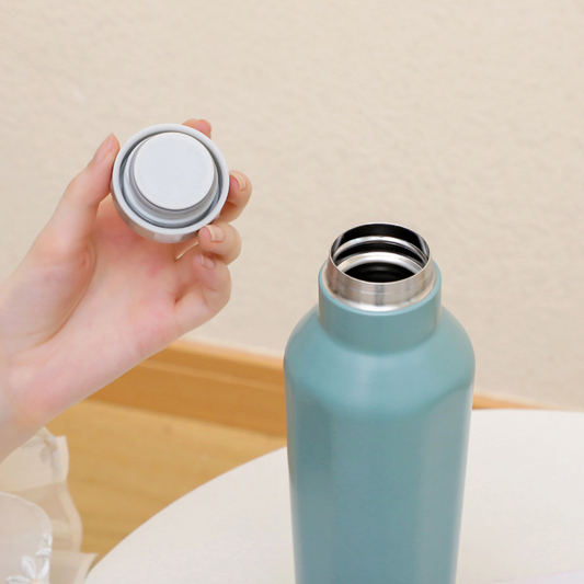 Stainless Steel Insulated Tumblr